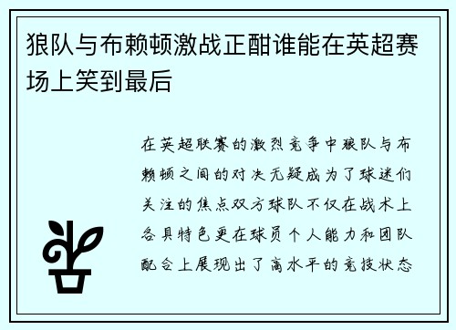 狼队与布赖顿激战正酣谁能在英超赛场上笑到最后